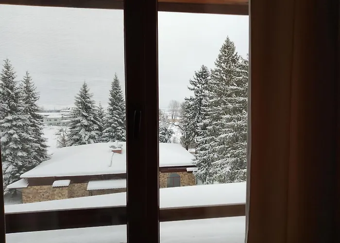 роси студио