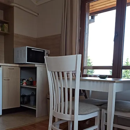 роси студио * בנסקו