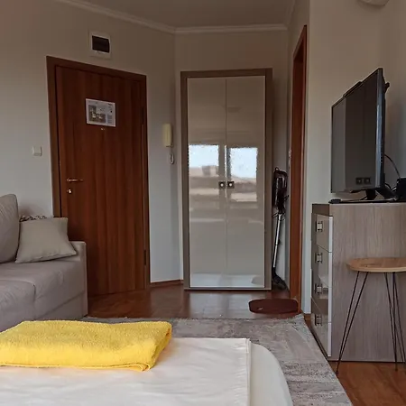 роси студио