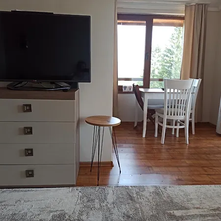 роси студио * בנסקו