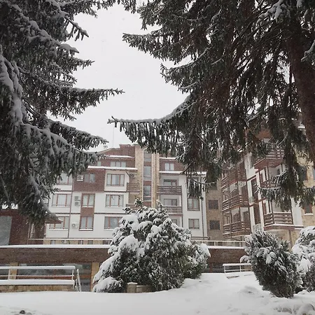 דירה роси студио *